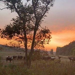 Meet your Posher, Logan